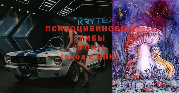 прущая мука Верея