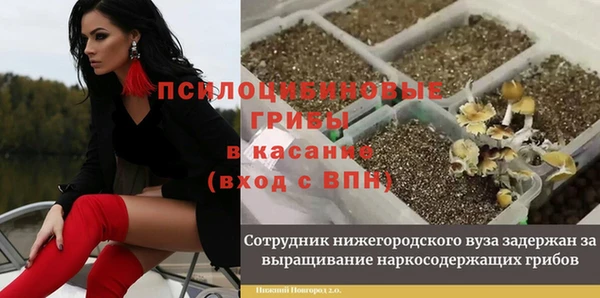 прущая мука Верея