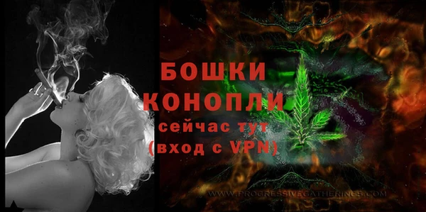 прущая мука Верея