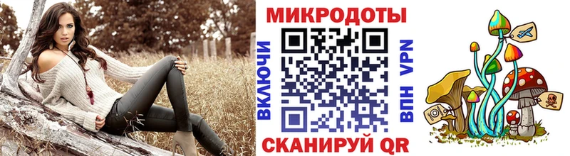 закладки Северобайкальск Галлюциногенные грибы Cubensis