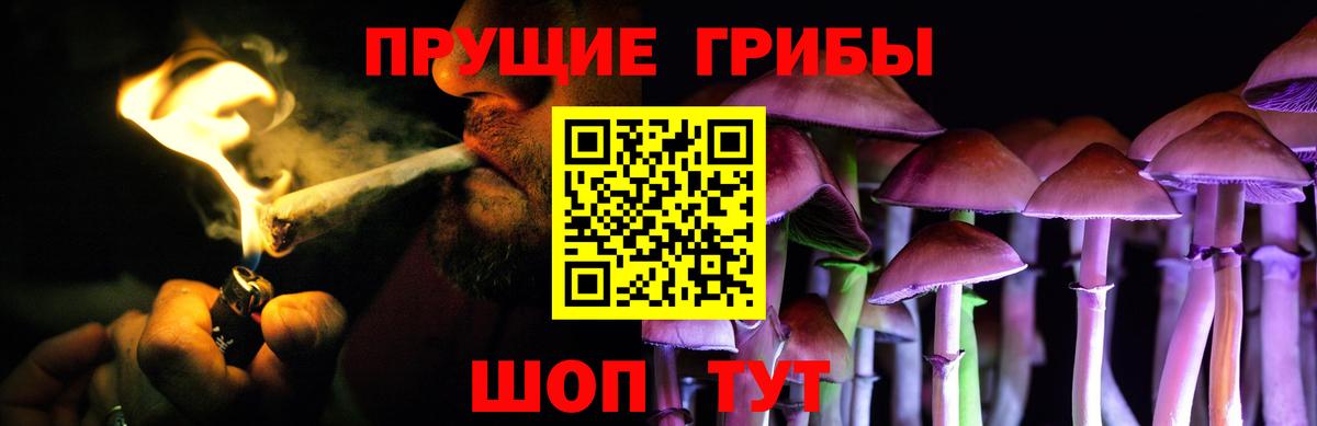 Псилоцибиновые грибы мицелий  Вход с VPN  Северобайкальск  Галлюциногенные грибы мицелий 